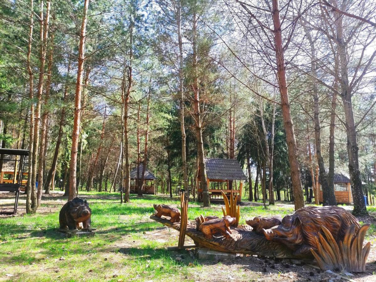 فندق Мисливець В Комплексі "Сокіл" Susk المظهر الخارجي الصورة